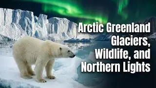 Arctic Greenland | Glaciers, Wildlife, and Northern Lights