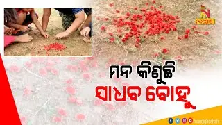 Red Velvet Mites Seen In Large Numbers In Koraput&rsquo;s Boriguma After Climate Change |