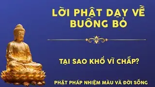 Lời Phật Dạy Về Buông Bỏ: Tại Sao Khổ Vì Chấp? | Phật Pháp Nhiệm Màu và Đời Sống