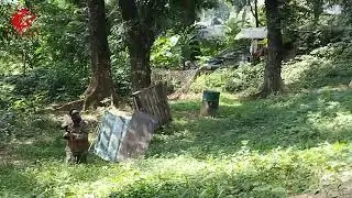 Paintball Sentul
