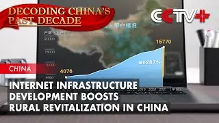 Internet Infrastructure Development Boosts Rural Revitalization in China