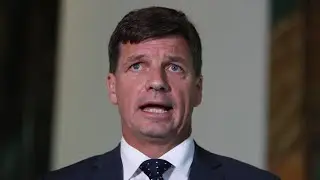 Angus Taylor delivers 'poorly considered question' in Question Time
