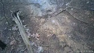 Check out the views