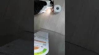 How do you get the cat's olfactory receptors into your phone?