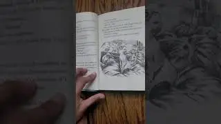 Word of mouse Chapter 1