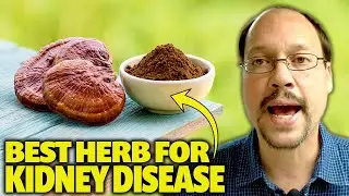 Herbs For Kidney Disease: Reishi Mushroom May Improve Kidney Function & Kidney Health