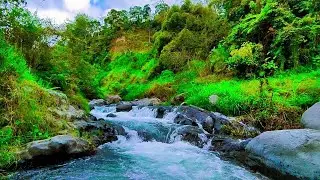 Soothing River Sounds Calming Waves Ambience Peaceful Nature Sounds Calm Water Instrument