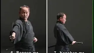 Iaido Kata 7 v2