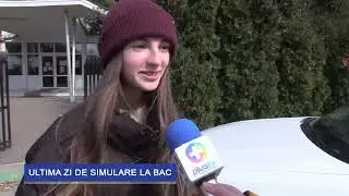 Simulare Bac 2023, proba la alegere