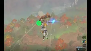 How to run with a lit torch in Breath of the Wild (Item Smuggling)