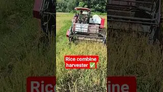 Rice Combine Harvester &mdash; Faster & More Efficient Harvest #combine
