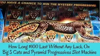 HOW LONG $100 LAST WITHOUT ANY LUCK ON BIG 5 CATS SLOT MACHINE - SunFlower Slots