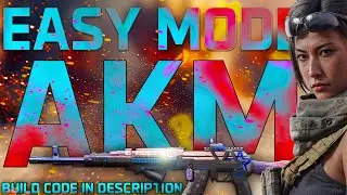 Delta Force AKM Build for Easy or Normal Mode