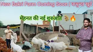 पाचुंडा खुर्द में नया बकरी फार्म शुरू | मेहनत की नई शुरुआत 🐐🔥