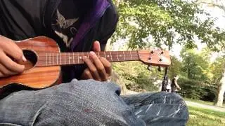 Blue Sky:The Allman Brothers Band ukulele cover at Central Park NYC