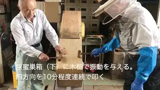 蜂移しの順序（横置型巣箱の場合）