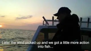 Midsummer Fishing in the Baltic Sea...