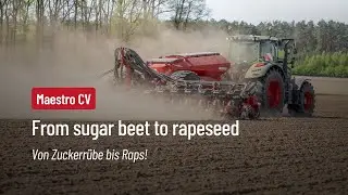 HORSCH Maestro CV - from sugar beet to rapeseed // von Zuckerrübe bis Raps