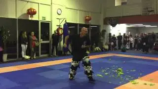 Traditional Wing Chun Butterfly Sword Form