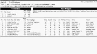 F.A.S.T. Harness Handicapping - Running Styles/Race Types