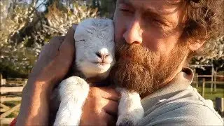 Humans Hugging Other Animals