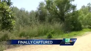 Family remembers victim after former Cal Fire Chief arrested