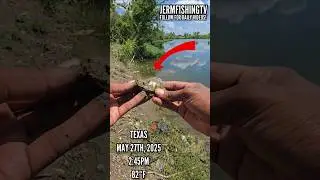 I FOUND A LEGENDARY LURE! 😨😯 #shorts