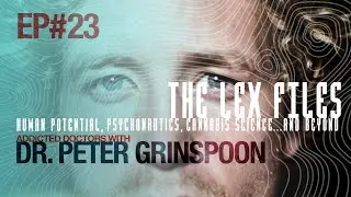 Addicted Doctors with Dr. Peter Grinspoon | The Lex Files