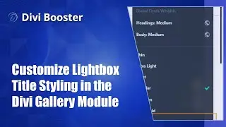 Customize Lightbox Title Styling in the Divi Gallery Module