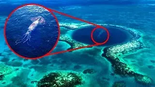 Most BIZARRE Deep Sea Anomalies Science STILL Can't Explain!