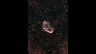 Shooting the Crescent Nebula from my backyard #telescope #sky #astrophotography #deepsky #supernova