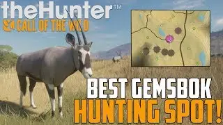 BEST GEMSBOK HUNTING SPOT! | theHunter: Call Of The Wild