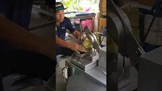 Automatic coconut cutting machine that cuts coconuts easily!!!
