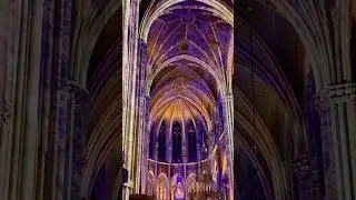 Stunning Light Show at the Votiv Church in Vienna #lightshow #traveling #city