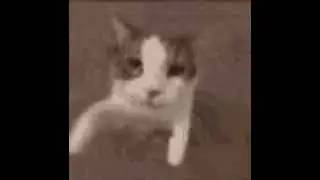 lungskull - me (slowed down)