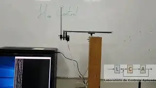 Digital Hinf Robust Control of a Rotary Inverted Pendulum