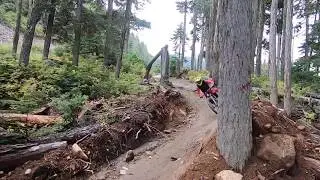 12 Months of RIP!