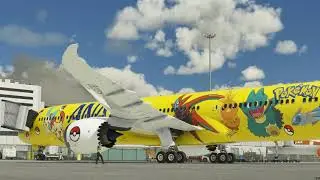ANA 787 