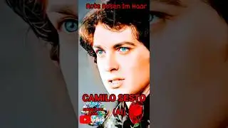 Rote Rosen Im Haar 💎🌹💎CAMILO SESTO (AI) 🎧❤️🎧🎼🎵🎼#musica #alma #star #hitsong #reydelamor #romanticas