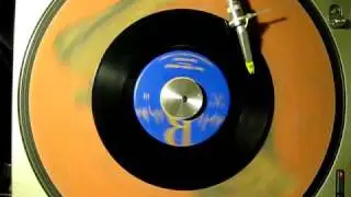 Zig Dillon Bird Song Boogie