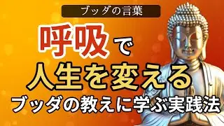 ブッダの言葉【心穏やかになる方法】呼吸で人生を変える、ブッダの教えに学ぶ実践法