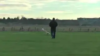 Determination
