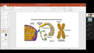 К. Половников &laquo;Non-backtracking walks reveal compartments in sparse chromatin interaction networks&raquo;