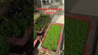 #गुजरते हुए साल ने बहुत कुछ सिखाया।#love #youtubeshort #ytshort #heart touching short video