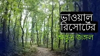 ভাওয়াল রিসোর্টের অদ্ভুত জঙ্গল - Bhawal Resort Gazipur Forest || Forest Walking Inside Bhawal Resort