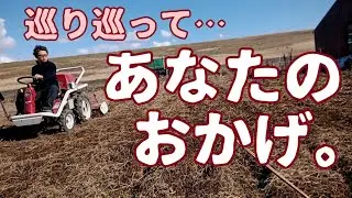 【YANMARアグリカA10-V】耕運するだけでも、こんなにたくさんの人が…。