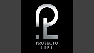 El año que se va LLDM Proyecto Liel