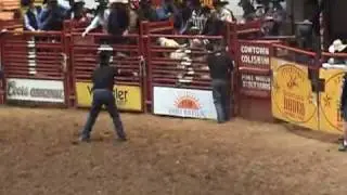 Lyndal Hurst Mooseknuckle Bull 3