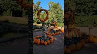 So sch&ouml;n ist Sachsen! K&uuml;rbisfestival Lichtenwalde bei Chemnitz &ndash; Herbstzauber pur 🎃