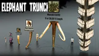 Elephant Trunk Size Comparison &ndash; Extinct, Living & Fictional
